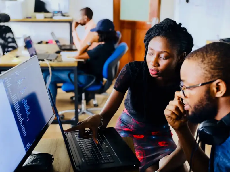 Introduction: Corporate Software Developer